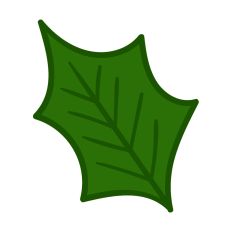 Holiday Mistletoe Design