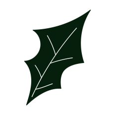 Holiday Mistletoe Design
