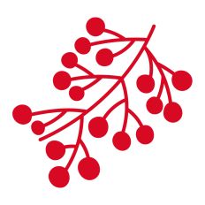Holiday Mistletoe Design