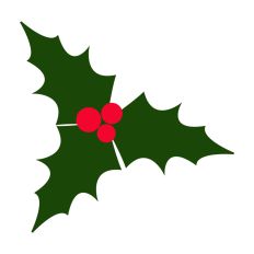 Holiday Mistletoe Design
