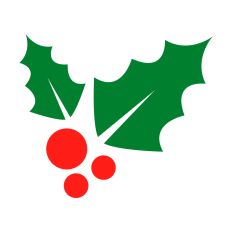Holiday Mistletoe Design