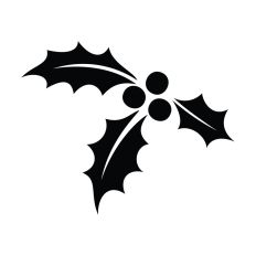 Holiday Mistletoe Design