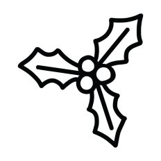 Holiday Mistletoe Design