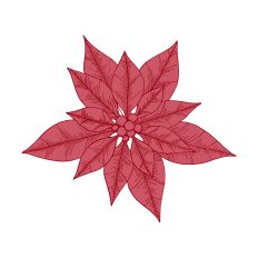 Christmas Decoration Holiday Poinsettia