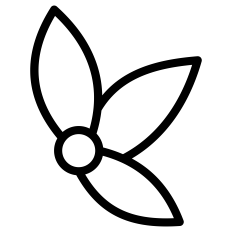 Holly Outline