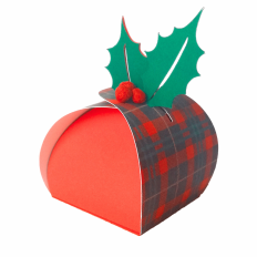 Holly Curvy Box