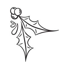 Holly