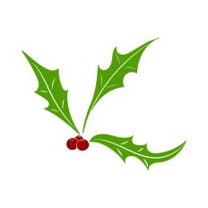 Holly