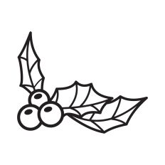 Holly line art