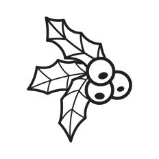 Holly line art