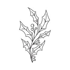 Holly branch