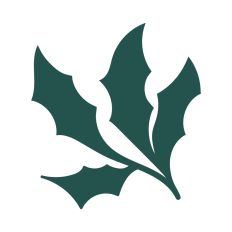 Christmas holly leaves