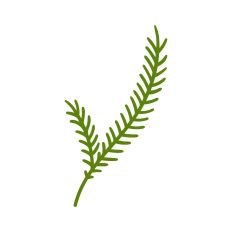 Decorative branch element