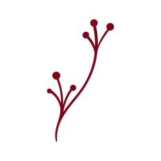 Branch with berries