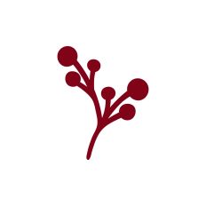 Branch and berries