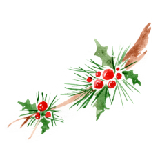 Watercolor Holly Branch