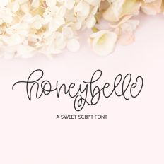 Honeybelle Calligraphy Script