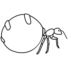 Honeypot Ant