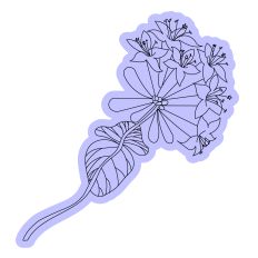 Honeysuckle Blooms and Buds Sketch SVG