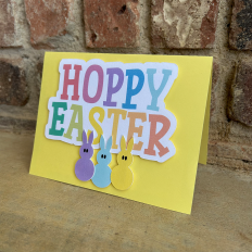 HOPPY EASTER Spring Bunny 3D Pop-Up Card