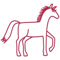 Wild Horse