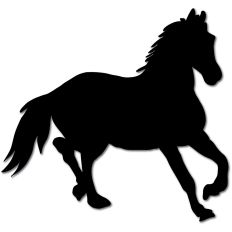 Horse Silhouette