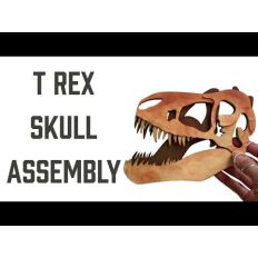 Tyrannosaurus rex (T rex) skull