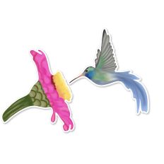 Hummingbird eating
