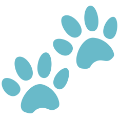 Paw Prints