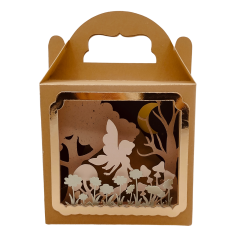 Shadow box Fairy