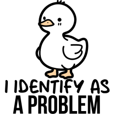 cute duck i identify as a problem