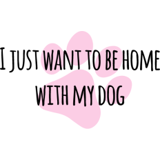 I want to be home with my dog