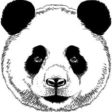 Panda realism illustration 