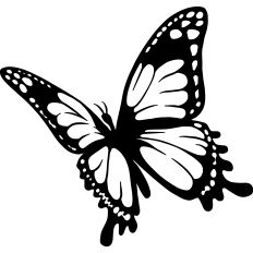 Monarch butterfly