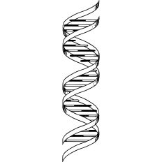 DNA structure