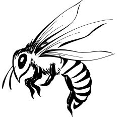 Wasp Linework