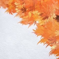 Swirling Fall Leaves
