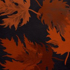 Swirling Fall Leaves