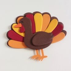 Thanksgiving Turkey