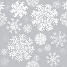 Fancy Winter Snowflakes on pale gray