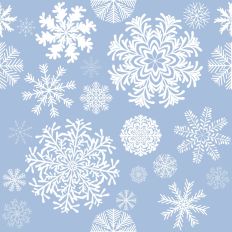 Fancy Winter Snowflakes on Powder Blue