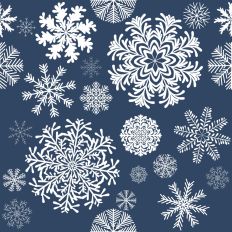 Fancy Winter Snowflakes on Smoky Blue