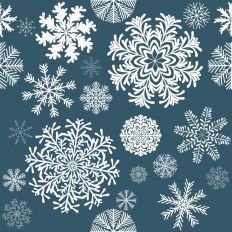 Fancy Winter Snowflakes on Teal Blue