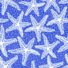 Starfish sea shell on beachy color background 