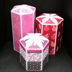 Petal boxes x 3