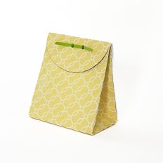 Paper Bag Party Favor with a Rounded Flap