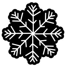Fancy White Snowflakes with Unique Black Mattes 