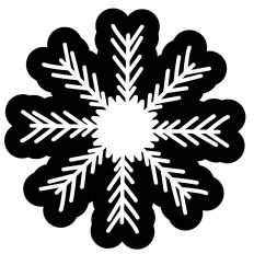 Fancy White Snowflakes with Unique Black Mattes 