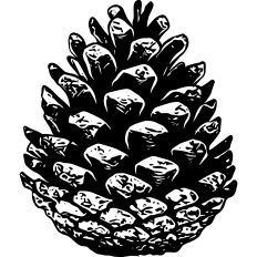 Pinecone Natural