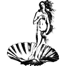 Birth of Venus Botticelli